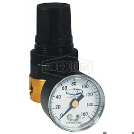 Dixon Wilkerson by Miniature Water Regulator with GC620 Gauge, 1/8 in NPT/BSPP-G, 2 to 125 psig Adjustable RB3-01RG